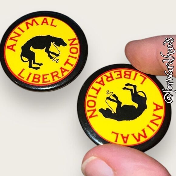 Bundle Sale 3 for $15 | Animal Activist | Animal Rights Pins - Picture 6 of 7